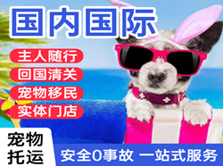 沙堤机场托运国际宠物托运 【国
